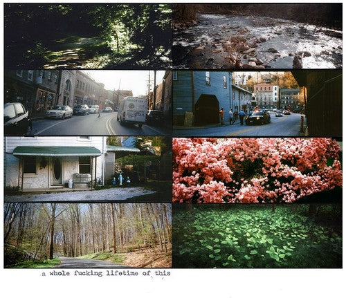 the album cover for American Pleasure Club - Whole Fucking Lifetime Of Th