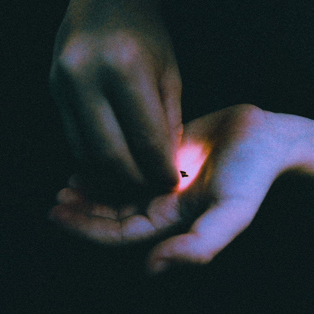 the album cover for Bambara - Stray