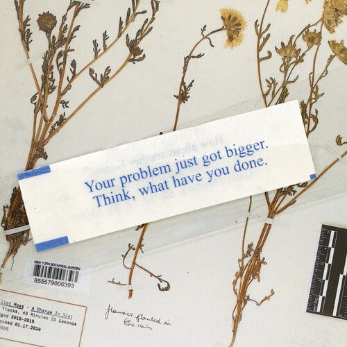 Elliot Moss - Change In Diet (Vinyl)