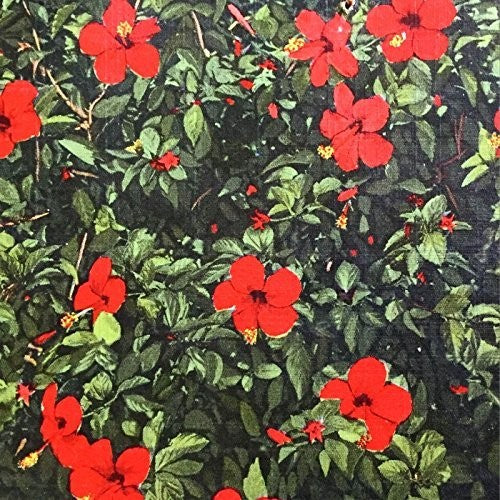 the album cover for Real Live Tigers - Denatured