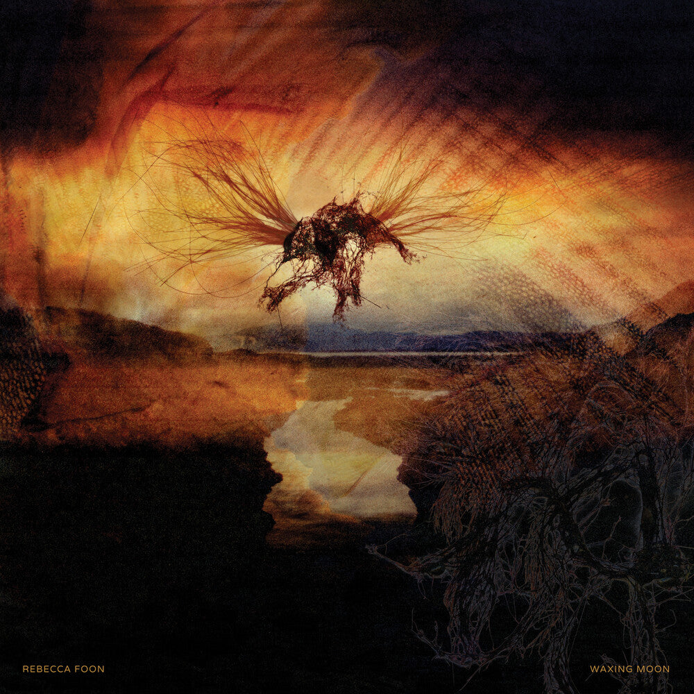 the album cover for Rebecca Foon - Waxing Moon