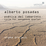 the album cover for Posadas / Sigma Project - Poetica Del Laberinto