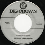 the album cover for Lee Fields - Never Be Another You / Lover