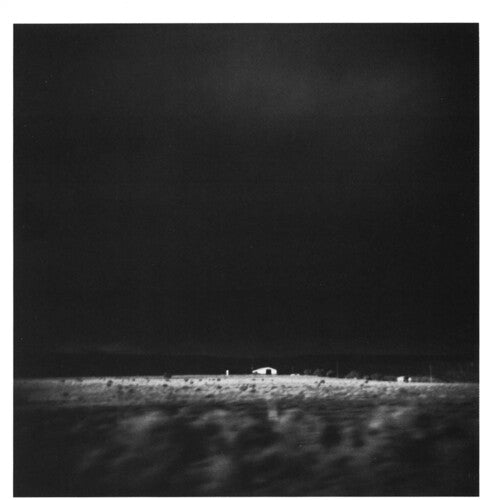 アーリー・デイ・マイナーズ - プレイサー・ファウンド（20周年記念盤）（レコード）