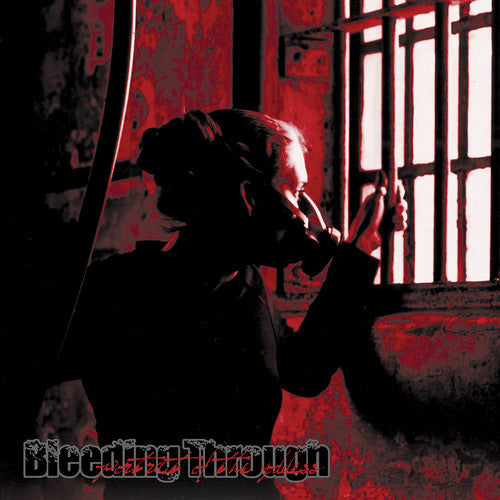 the album cover for Bleeding Through - Portrait Of The Goddess [LP]