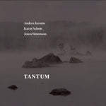 the album cover for J Bach S / Jormin / Simonson - Tantum