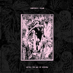 Raspberry Bulbs - Before The Age Of Mirrors (Vinyl)