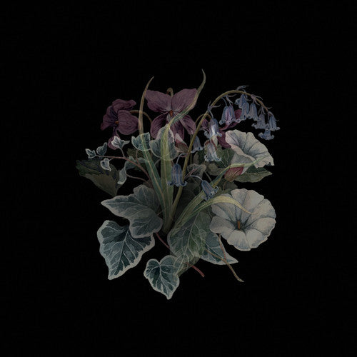 the album cover for Nhor - Wildflowers (Blk) (Gate) [Limited Edition] [180 Gram]