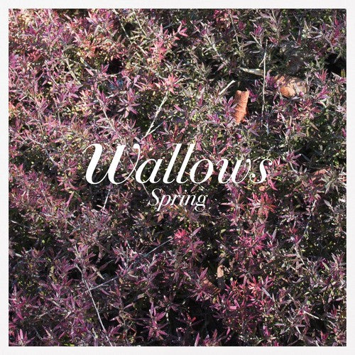 Wallows - Primavera (Vinilo)