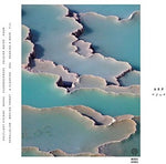 the album cover for Arp - Zebra