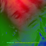 Psychic Ills - Never Learn Not to Love / Cease to Exist (Vinyl)