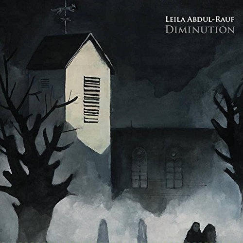 the album cover for Abdul-Leila Rauf - Diminution