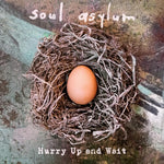 Soul Asylum - Hurry Up & Wait (Vinyl)