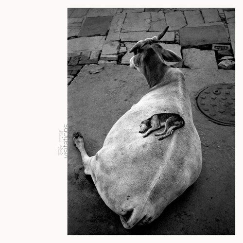 Leo Abrahams - Visitations (Vinyl)