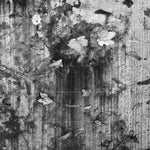 the album cover for K. Leimer - Threnody