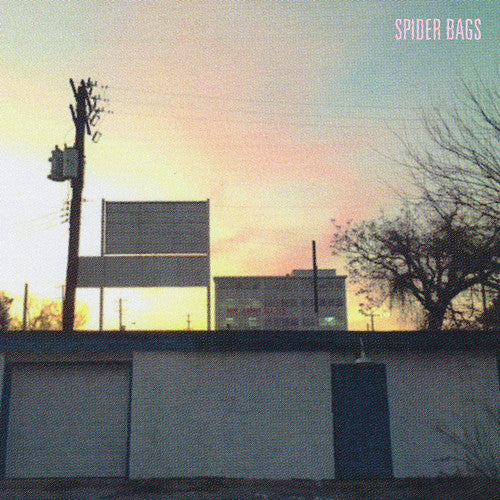 スパイダー・バッグス - Someday Everything Will Be Fine (レコード)