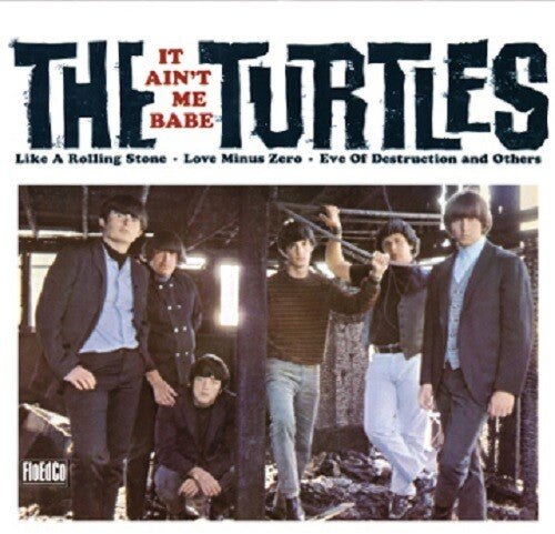 Las Tortugas - No soy yo, nena (Vinilo)