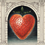 the album cover for Saintseneca - Pillar Of Na