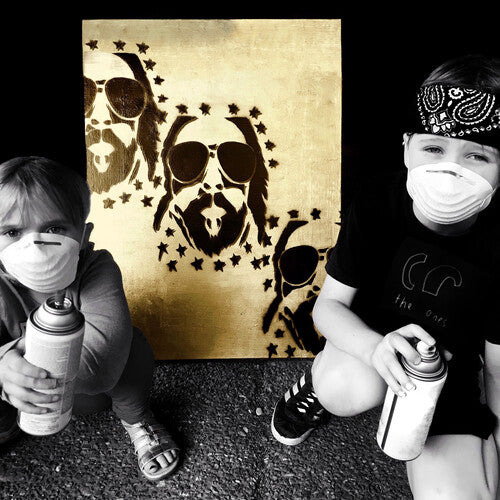 Brian Wright - Lapse Of Luxury (Vinyl)