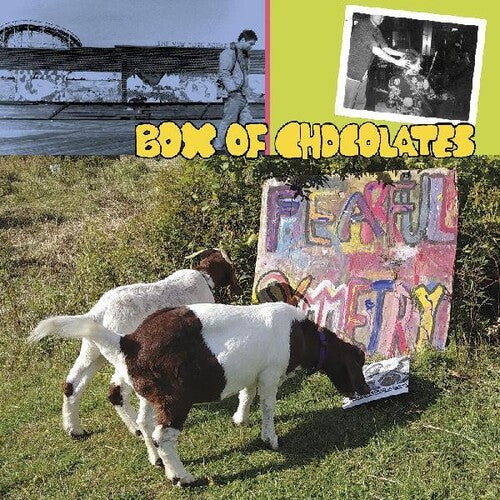 Caja de bombones - Simetría temerosa (Vinilo)