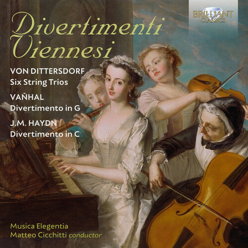 Musica Elegentia Cicchitti - Divertimenti Viennesi (CD)