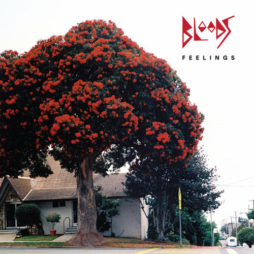 the album cover for Bloods - Feelings