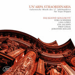 the album cover for Unarpa Straordinaria / Various - Un'arpa Straordinaria