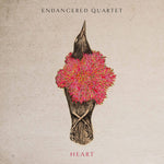 the album cover for Heart / Various - Heart