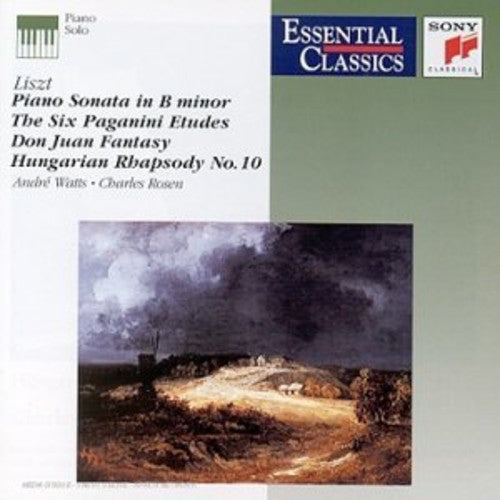 Piano Sonata Etudes (CD)