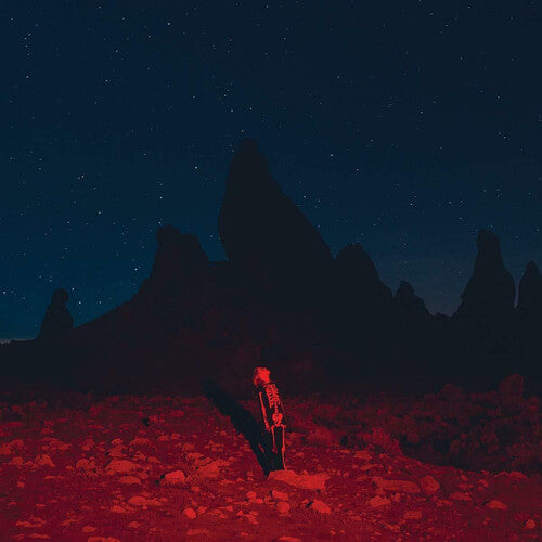 Phoebe Bridgers - Punisher (Vinyl)
