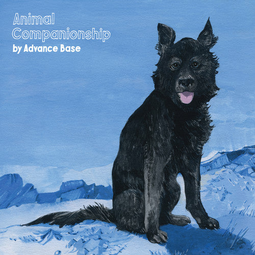 the album cover for Advance Base - Animal Companionship