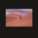 the album cover for Bing & Ruth - Species [LP]