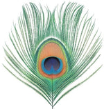 the album cover for Xtc - Apple Venus Vol 1