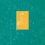 XTC - Skylarking (レコード)