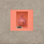 the album cover for Momus - Vivid