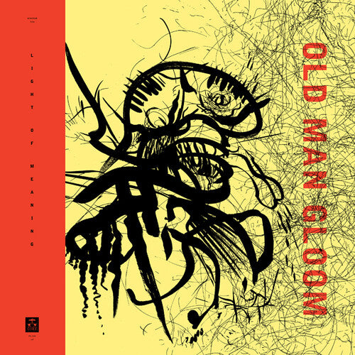 Viejo Triste - Seminario VIII: Luz de Sentido (Vinilo)