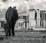 the album cover for Neilson Hubbard - Cumberland Island