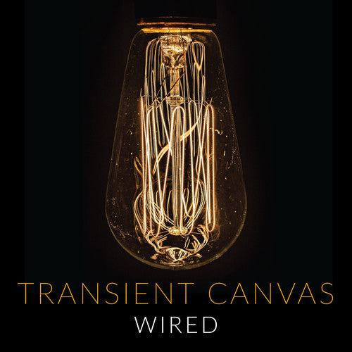 the album cover for Fefferman / Transient Canvas - Wired