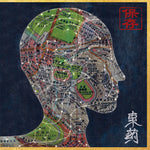 the album cover for Preservation - Eastern Medicine, Western Illness