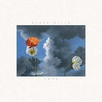 Blake Mills - Look (Vinilo)