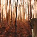 the album cover for Anekdoten - A Time Of Day