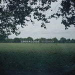 the album cover for Cravagoide - Arborea