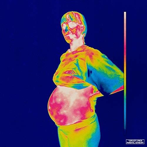 ブロックハンプトン - イリデセンス (レコード)