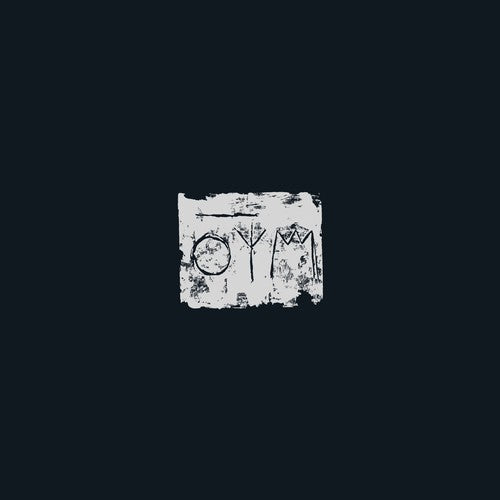 A Swarm of the Sun - The Woods (CD)