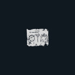 A Swarm of the Sun - The Woods (CD)