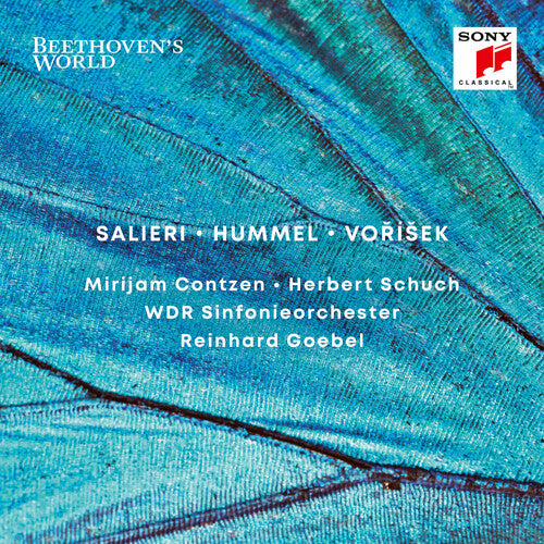 Gobel - Beethoven's World (CD)
