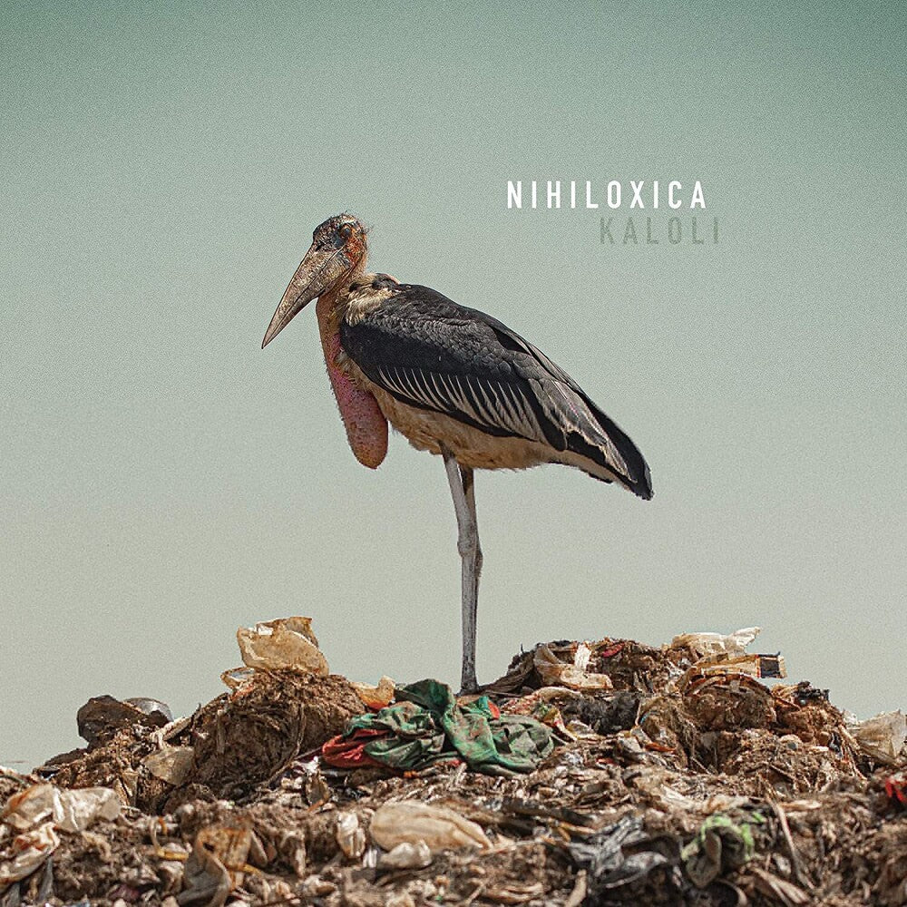 the album cover for Nihiloxica - Kaloli