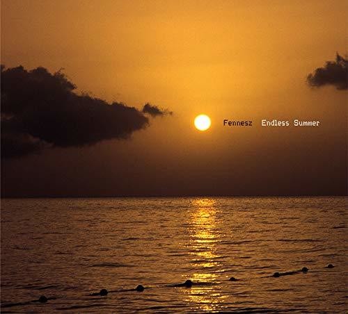 the album cover for Fennesz - Endless Summer