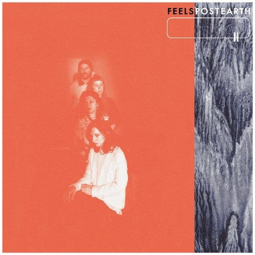 Feels - Post Earth (ビニールレコード)