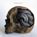 the album cover for Anguish - Anguish (Gate) [180 Gram]